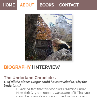 Interview (Mobile)