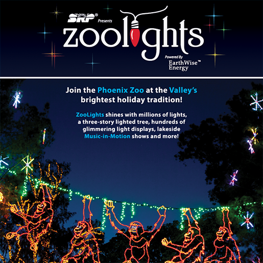 Phoenix Zoolights